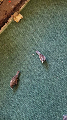 Gostišče Martinov hram d. o. o. - Guest house - restaurant - Gastronomija in gostinstvo