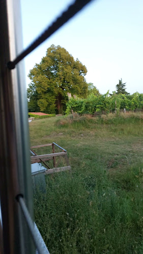 Okrepčevalnica Skala Simon Jagodić s.p. - Sežana