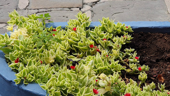 Restavracija Pavel - Gastronomija in gostinstvo