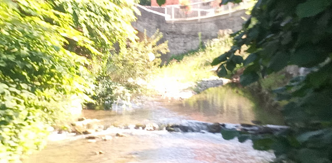 Opinii despre Gostilna "Gadova Peč" Uroš Kerin s.p. în Podbočje - Gastronomija in gostinstvo