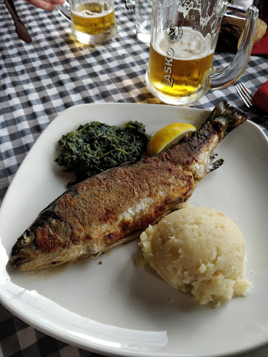 Zatolmin 1, 5220 Tolmin