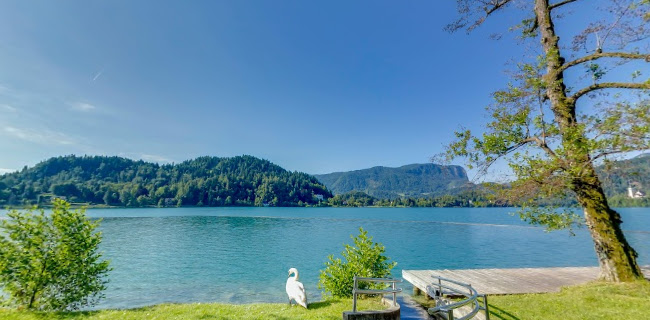 Veslaška promenada 11, 4260 Bled