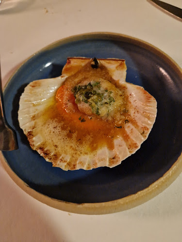 Dvorni trg 1, 1000 Ljubljana