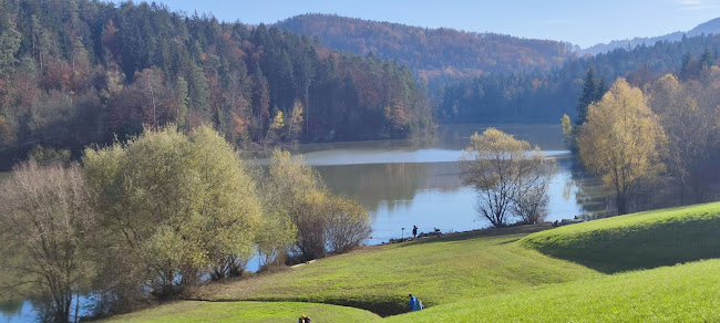 Comentarii opinii despre Lušt’n pod hrastom