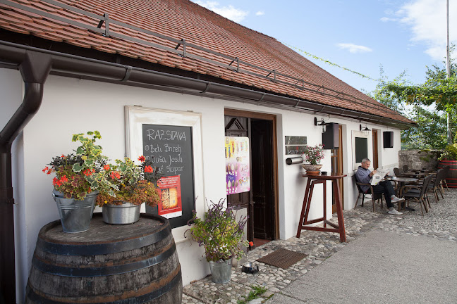 Comentarii opinii despre Cafe galerija Pungert