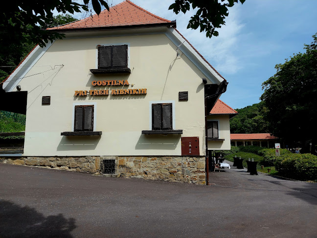 Opinii despre Gostilna Pri treh ribnikih în Maribor - Gastronomija in gostinstvo