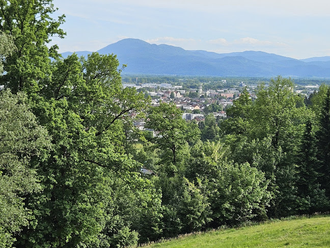 Cankarjev Vrh 1, 1000 Ljubljana