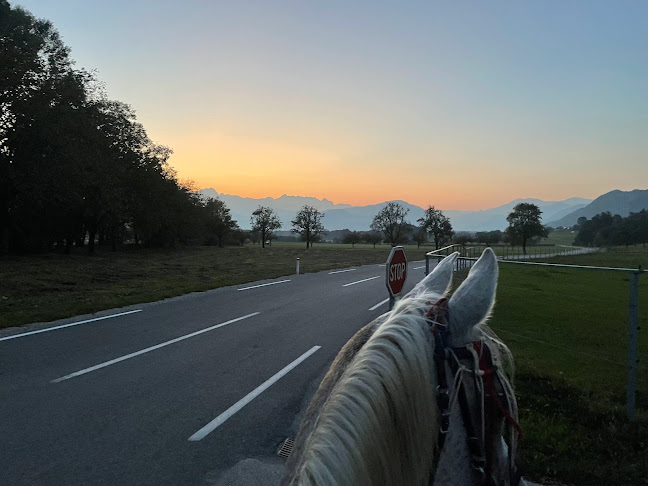 Comentarii opinii despre Gostinstvo Rudi Hrovat s.p. Kmetija in bar Brsca