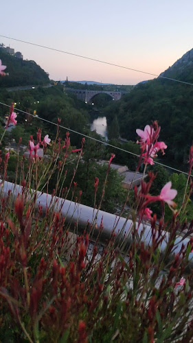 Comentarii opinii despre Restavracija Primula