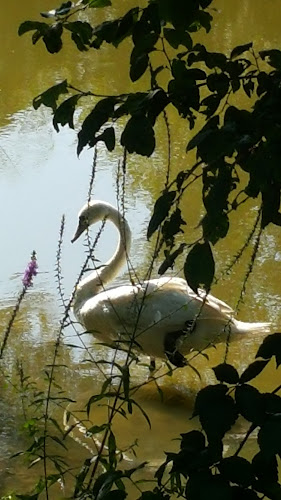 Proseniško 88, 3230 Šentjur