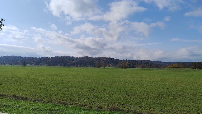 Opinii despre Koča Mladika na Pečni rebri (733 m) în Postojna - Gastronomija in gostinstvo