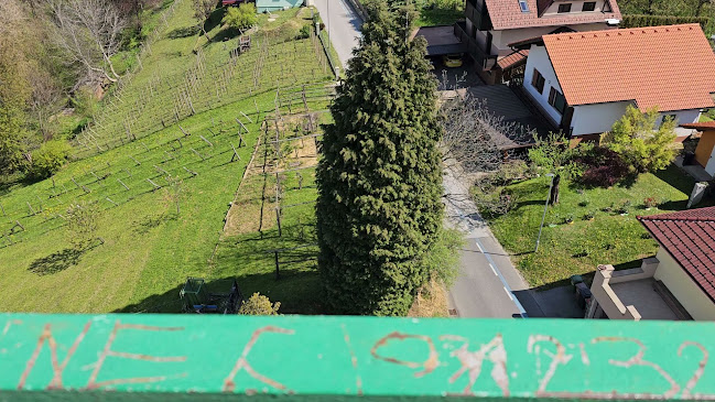 Kavarna Maistrova klet