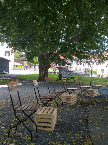 Fontana piva Žalec - Žalec