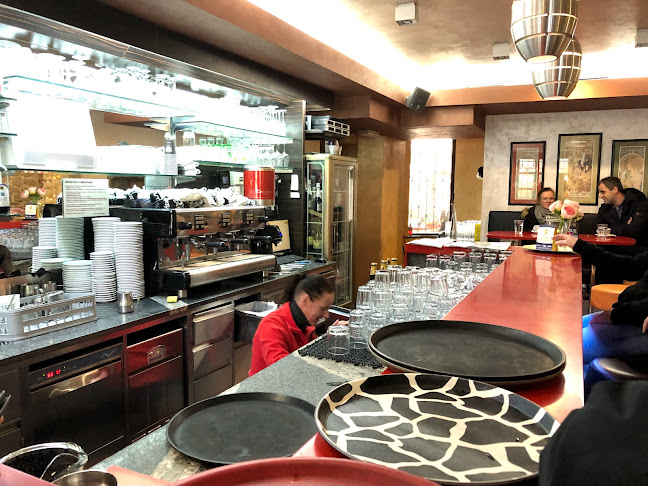 Toto Cafe Bar, Mojca Furman S.P. - Maribor