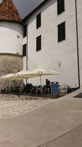 Grad Sevnica, Cesta na Grad 17, 8290 Sevnica