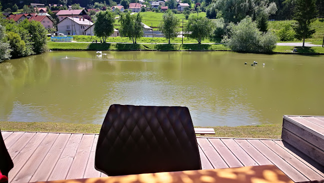 Opinii despre Gostilna Ribnik în Zagorje ob Savi - Gastronomija in gostinstvo