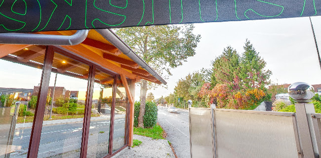 Cesta na Ostrožno 82, 3000 Celje