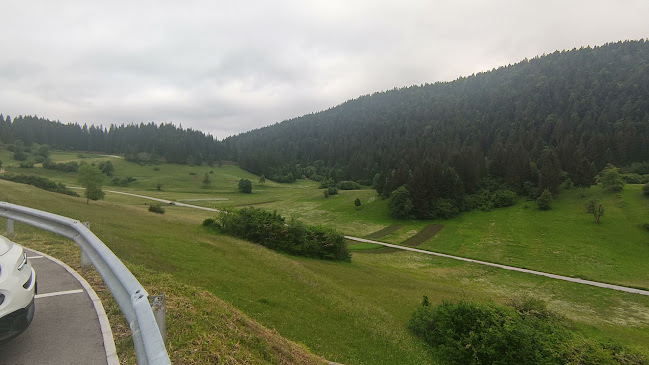 Opinii despre Gostilna in picerija Ana Anica Lavrič s.p. în Loški Potok - Gastronomija in gostinstvo