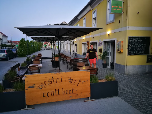 Mestna pivnica Zalec