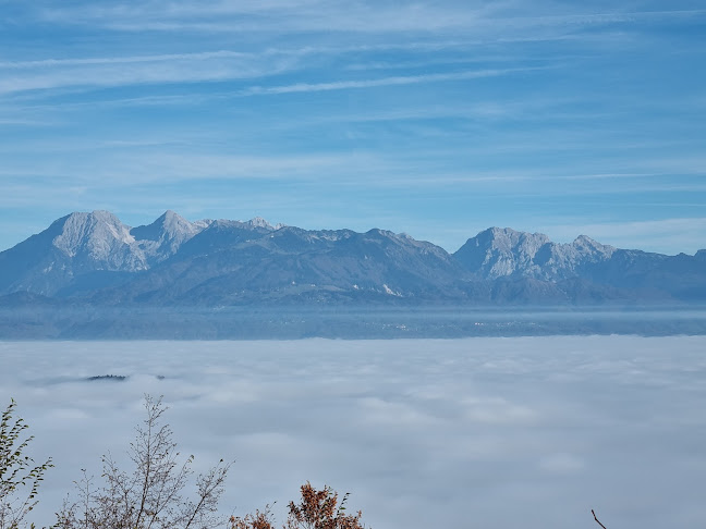 Gostilna Ledinek - Gastronomija in gostinstvo