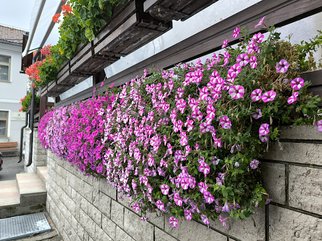 Comentarii opinii despre Okrepčevalnica Likar Anja Rovan s.p.