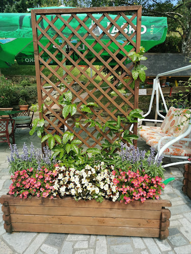 Gostilna Brin, Kuder Katja, s.p. - Gastronomija in gostinstvo