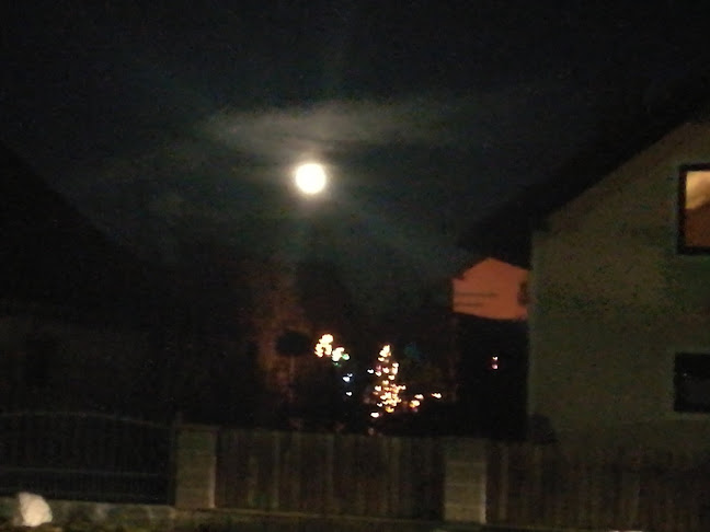 Comentarii opinii despre Bar Gobec, Simmgrad d.o.o.