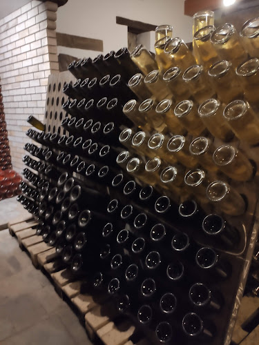 Comentarii opinii despre Spletna enoteka Mozirje SiSQSpirits