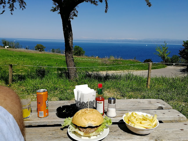 Opinii despre Bella Vista în Izola - Gastronomija in gostinstvo