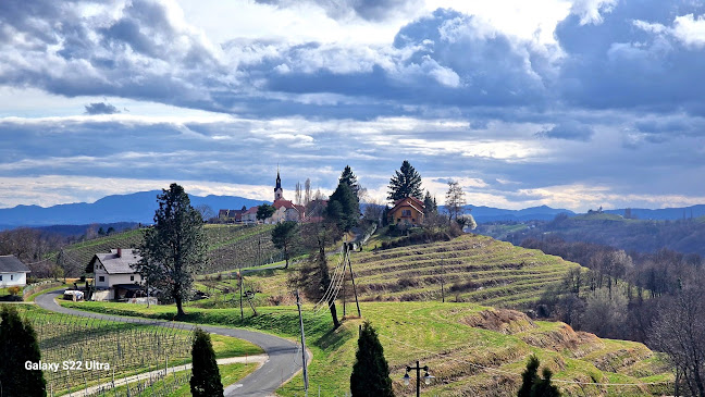 Comentarii opinii despre Gostišče Taverna