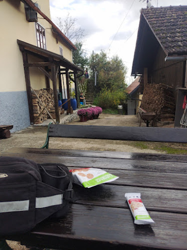 Comentarii opinii despre Gostilna Ledinek