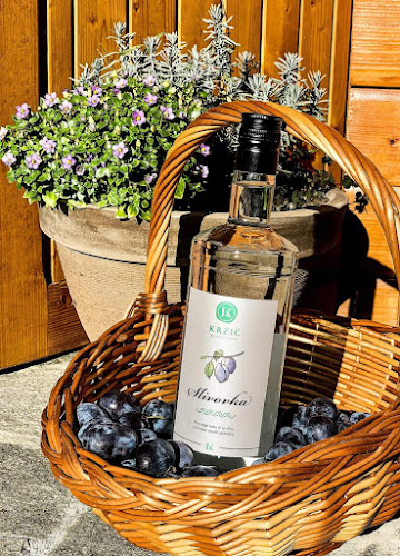 Videm 38c, 1262 Dol pri Ljubljani