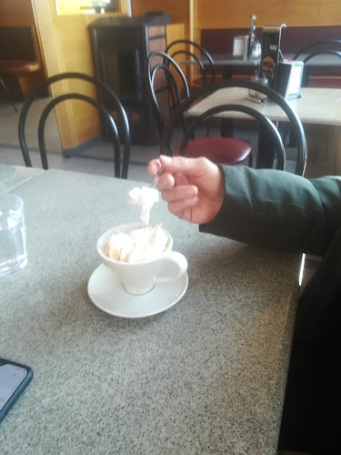 Okrepčevalnica Viki burger - Črni Kal