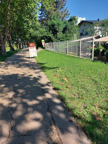 Prežihova ulica 9, 3000 Celje