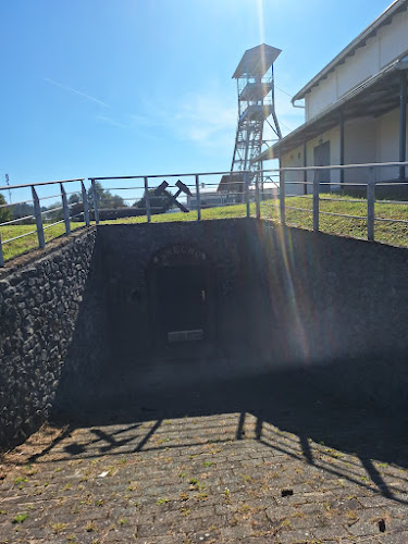 Rudnik Kanižarica v zapiranju d.o.o., Črnomelj- v likvidaciji - Gastronomija in gostinstvo