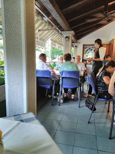 Gostilna - pizzerija - "Škorpion" Rajko Jenko s.p. - Gastronomija in gostinstvo