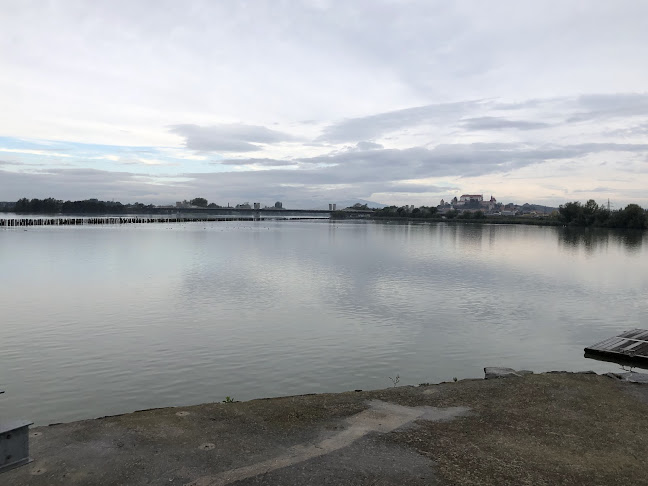 Opinii despre Ptujsko morje în Ptuj - Gastronomija in gostinstvo