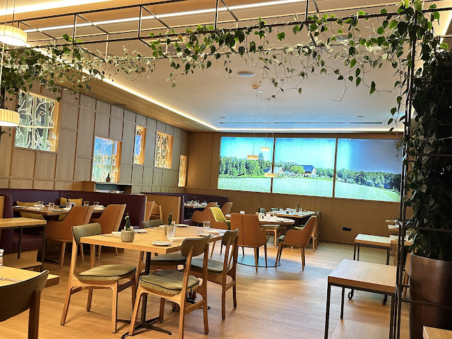 Comentarii opinii despre Restavracija Robin