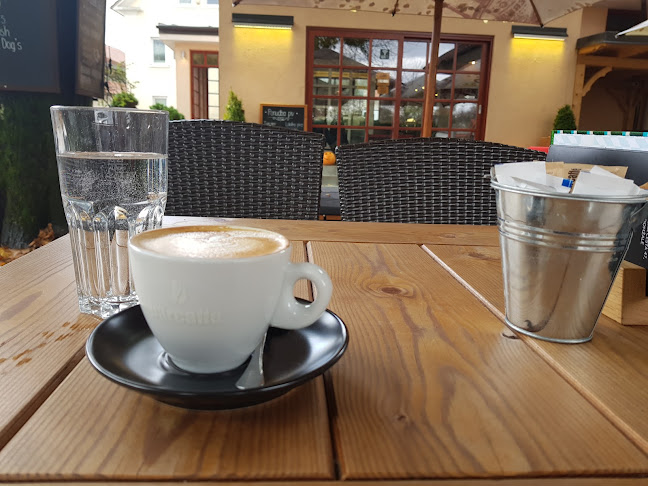 Comentarii opinii despre Agro Pub