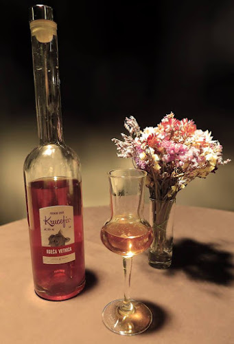 Lounge bar Krucefix - Gastronomija in gostinstvo