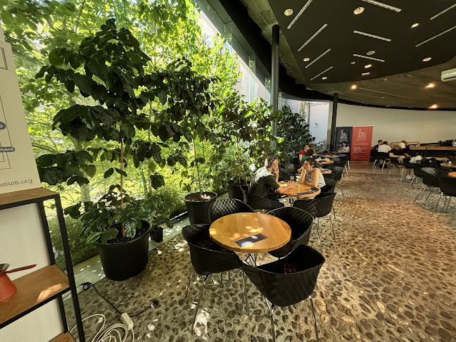 Comentarii opinii despre STOW COFFEE