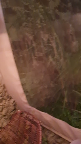 Comentarii opinii despre GOSTILNA VIDA