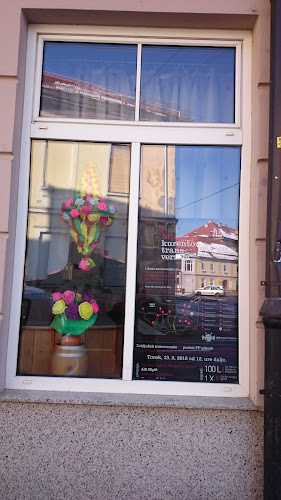 Terezija Brodnjak s. p. Pe Bar Grozdek, Ulica heroja Lacka 10 Ptuj - Gastronomija in gostinstvo