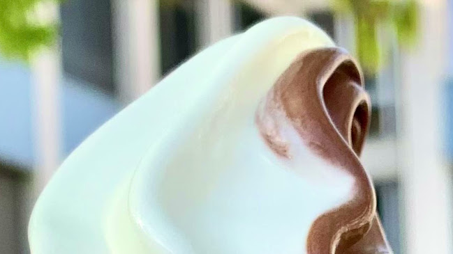 Lastovka pri SERŠ-u - Maribor - Maribor