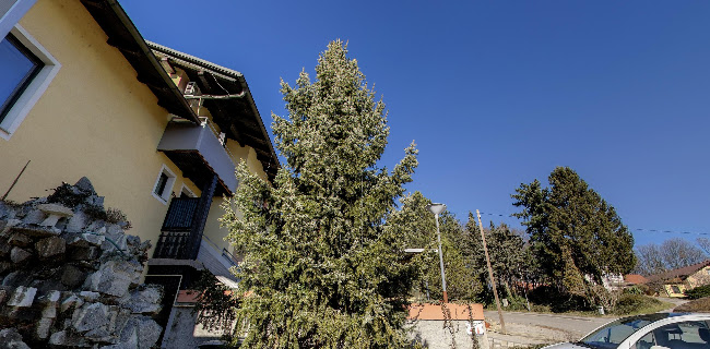 Gostilna Grabar - Ptuj