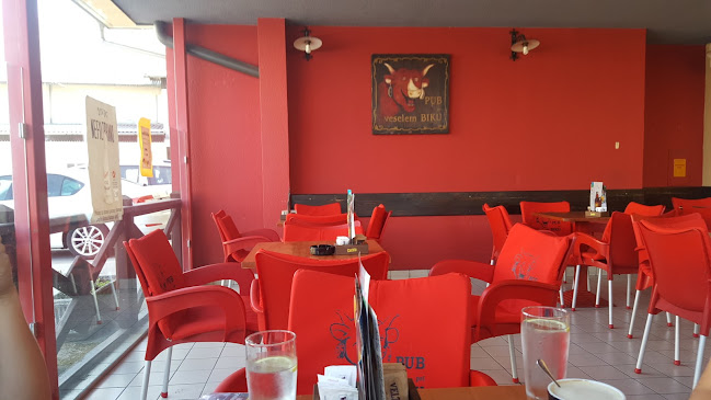 PUB PRI VESELEM BIKU, - Prebold