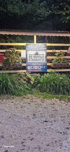 Opinii despre Ok Corral Pizzerija & Grill în Nova Gorica - Gastronomija in gostinstvo