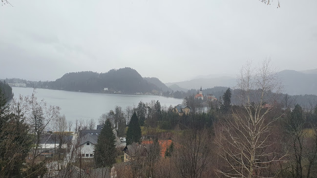 Kava Bar Hlapon - Gastronomija in gostinstvo