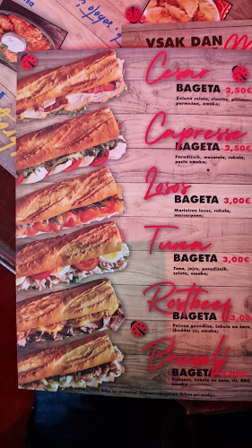 Pika Polonica - Maribor