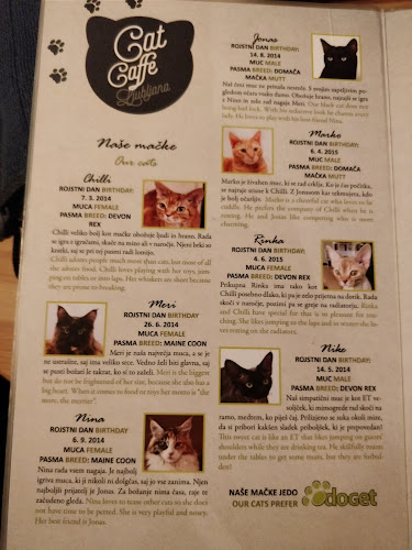 Cat Caffe Ljubljana - Ljubljana